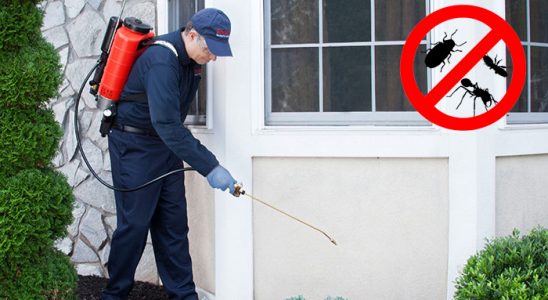 Tarsus Fare İlaçlama böcek ilaçlama ve haşere kontrolü — ilaclama-tr.com